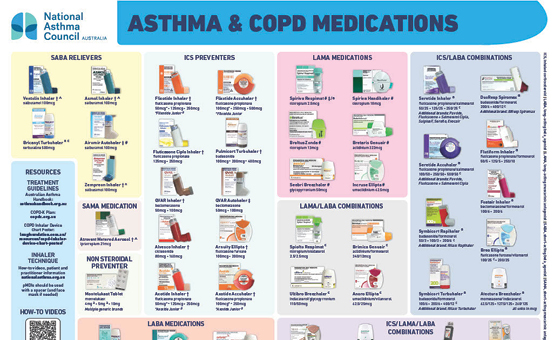 Updated asthma charts | Pharmacy Daily